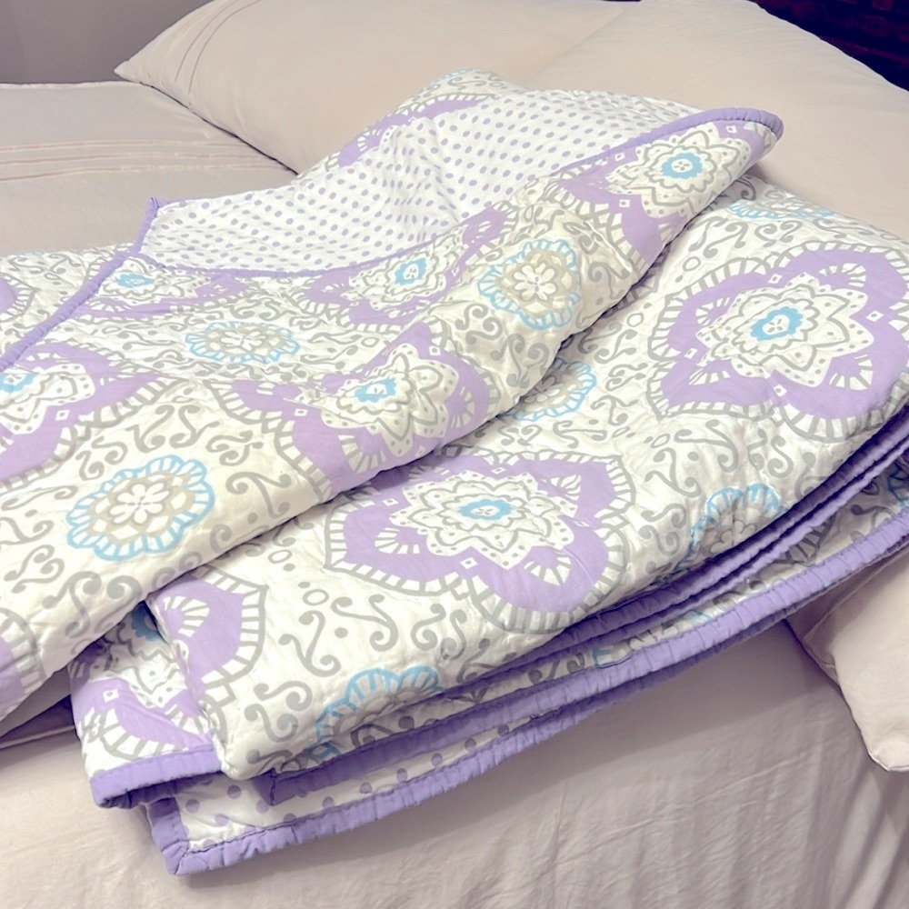 Pottery Barn Kids twin coverlet and sham